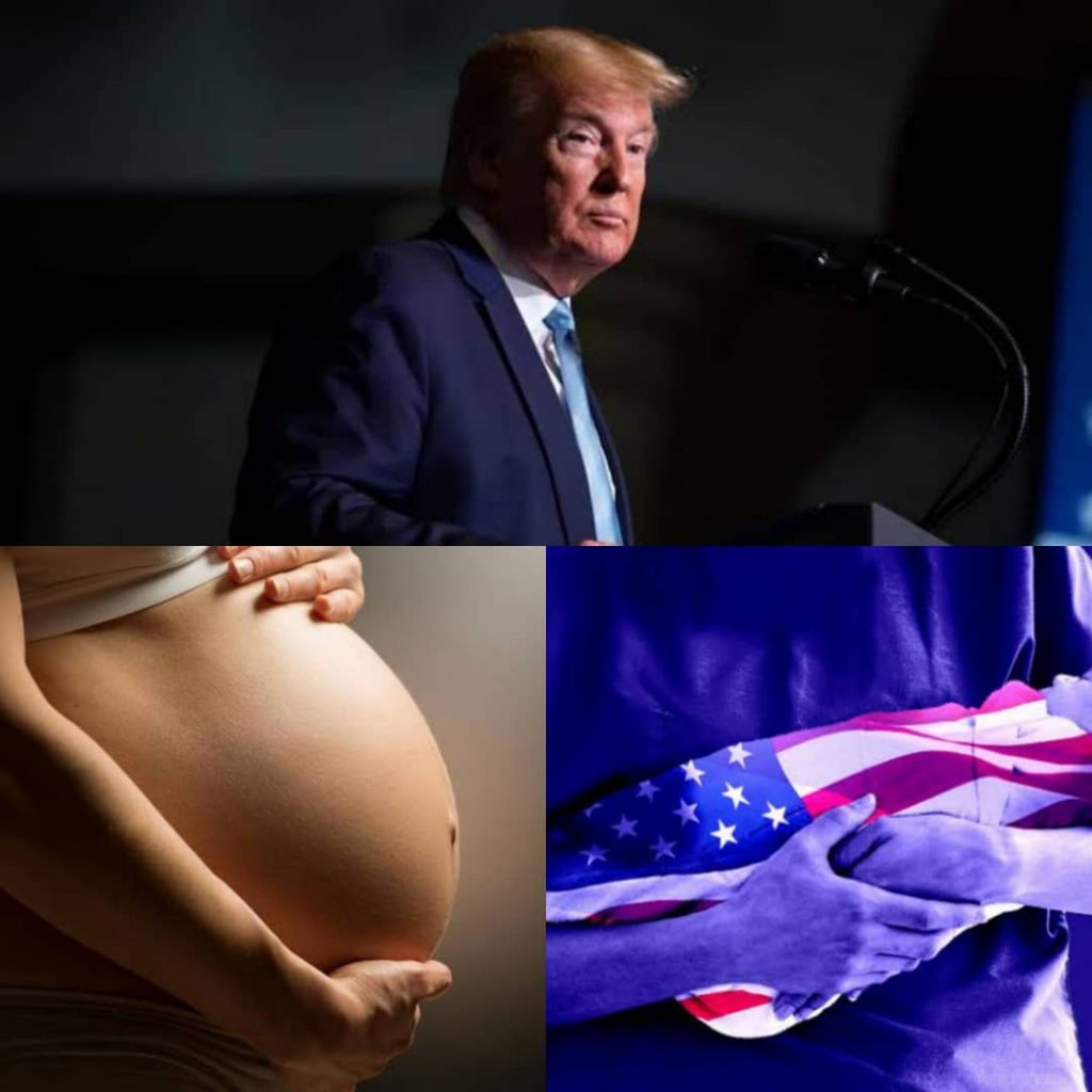 trump and pregnant women